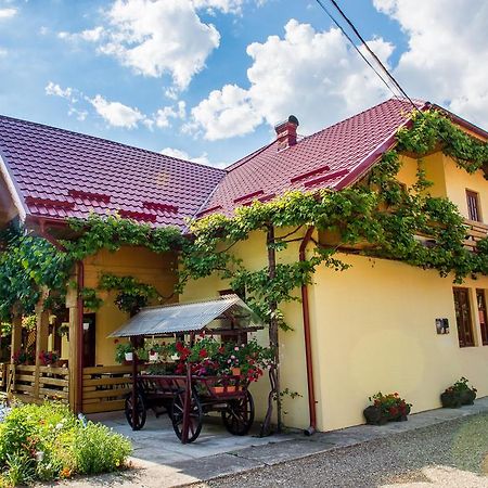 Casa Andreea Hotell Sucevita Eksteriør bilde